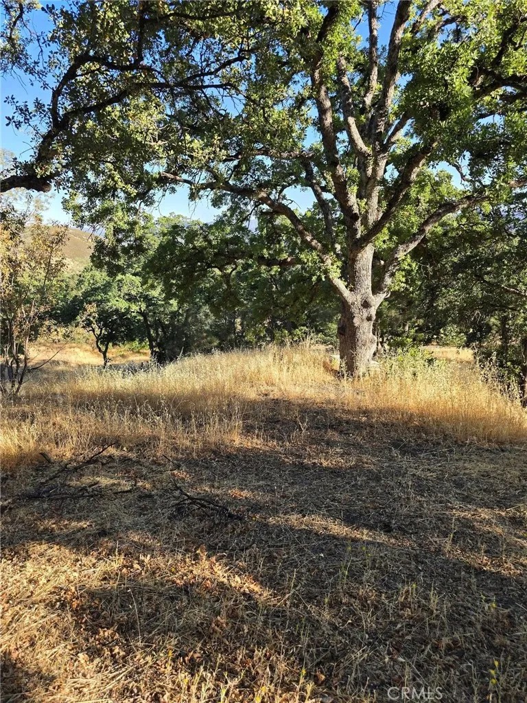 728 Watertrough Road