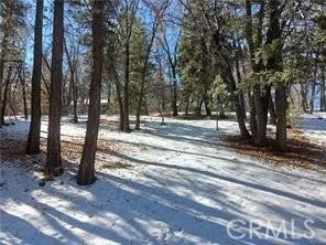 0 Columbine