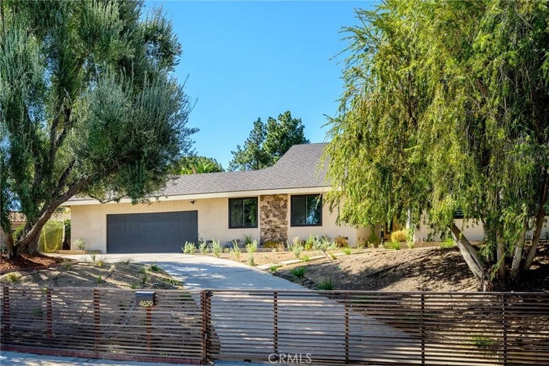 4629 Monarca