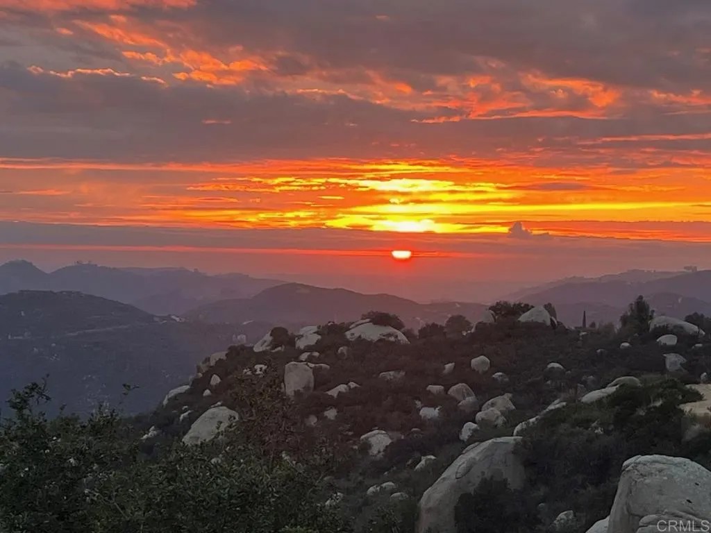 28521 Gladstone Court