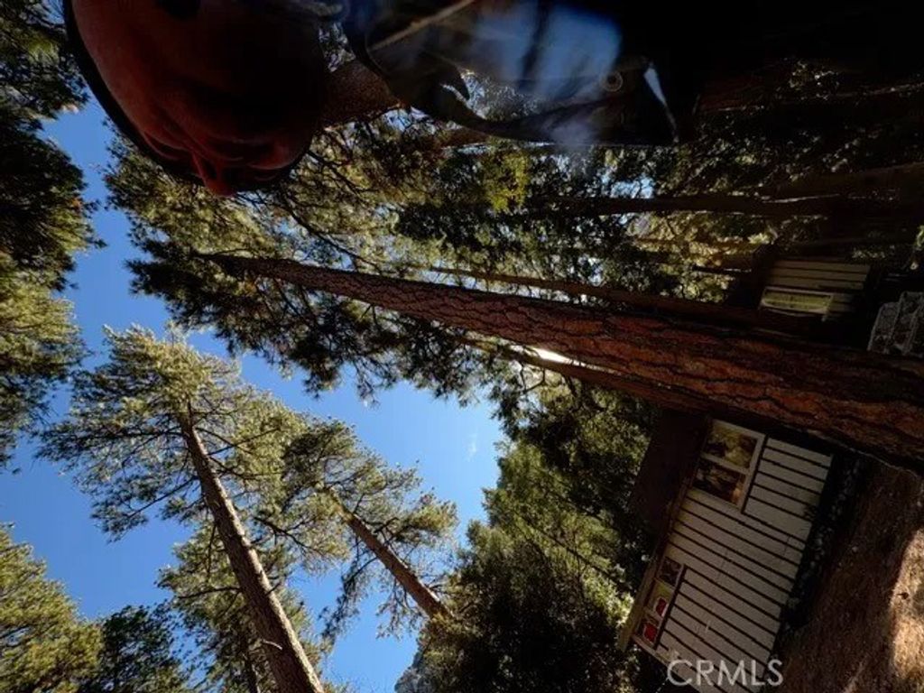 Photo of 9202 Wood Rd, Forest Falls, CA 92339 (MLS # IG26007510)