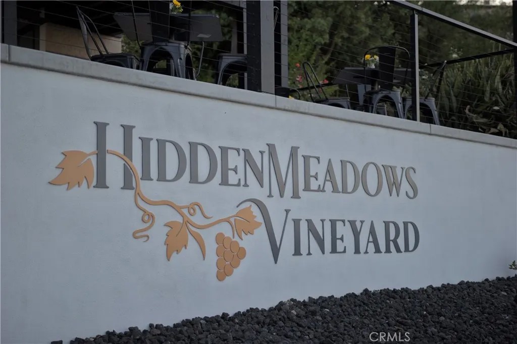 28572 Meadow Mesa Lane