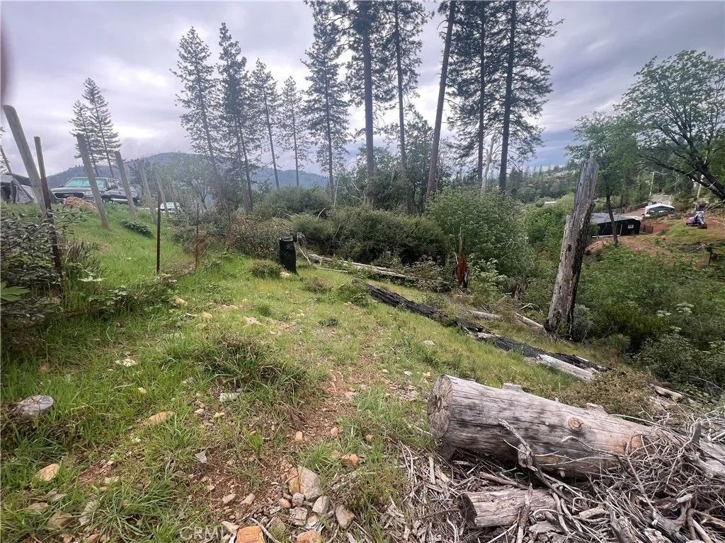 Photo of 11210 Greenaway Ct, Cobb, CA 95426 (MLS # LC26075834)