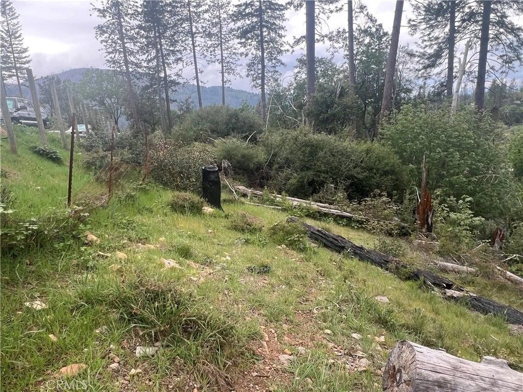 Photo of 11210 Greenaway Ct, Cobb, CA 95426 (MLS # LC26075834)