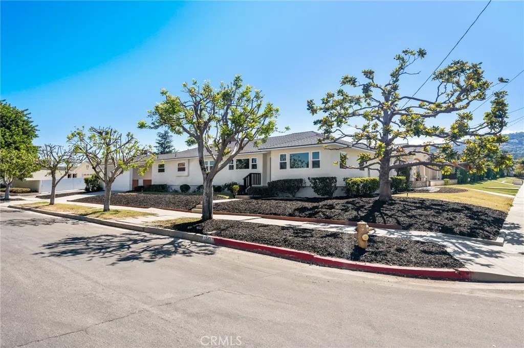 343 N Patton Avenue