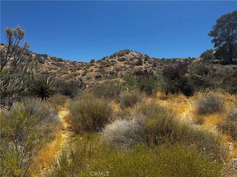 54025 Ridge