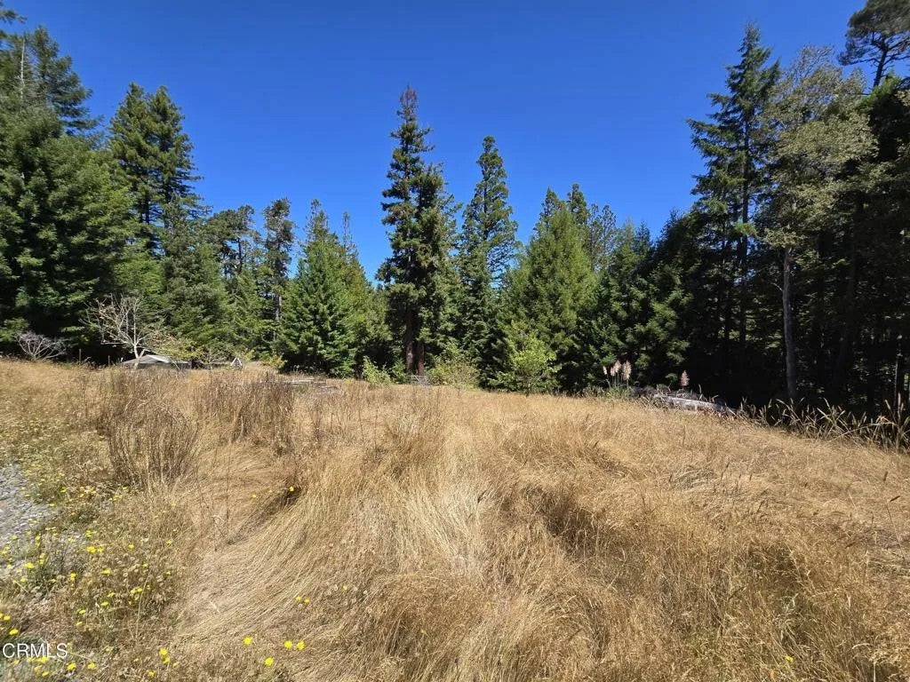 Photo of 40741 Garcia River, Point Arena, CA 95468 (MLS # C1-11529)