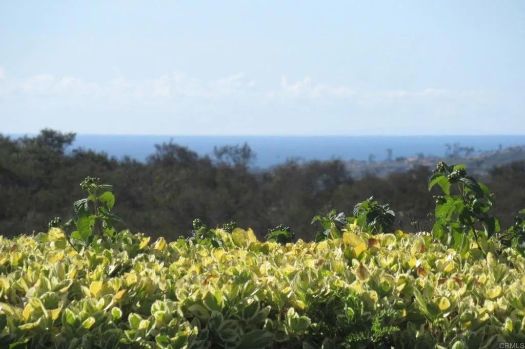 Photo of 4125 Arcadia Way, Oceanside, CA 92056 (MLS # NDP2510469)