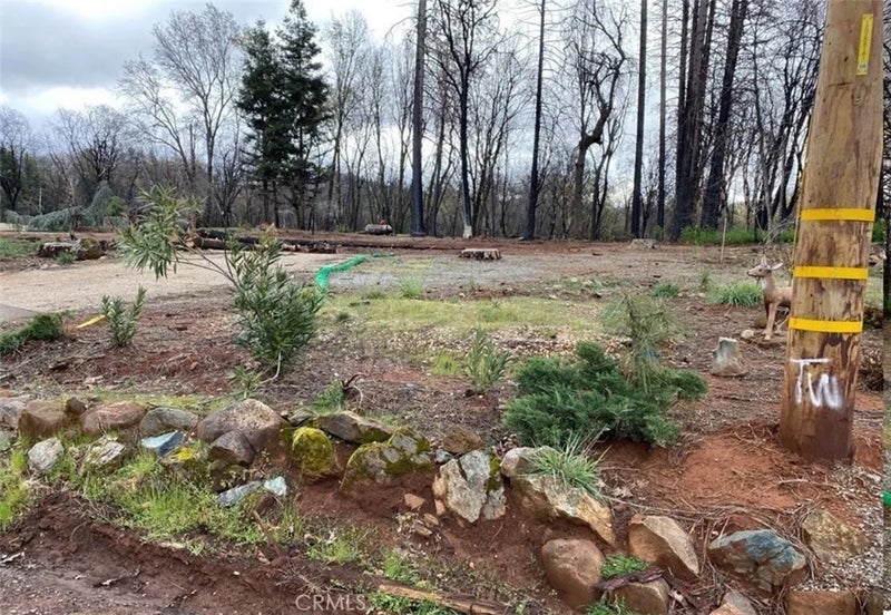 13630 S Park