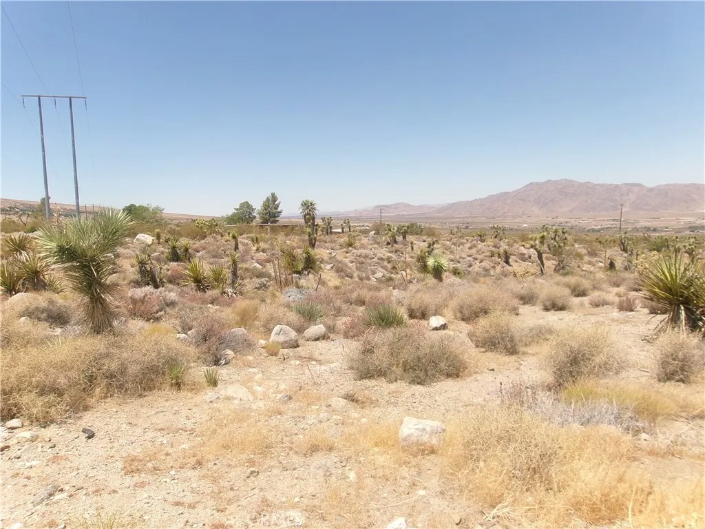 8020 MILLER RANCH