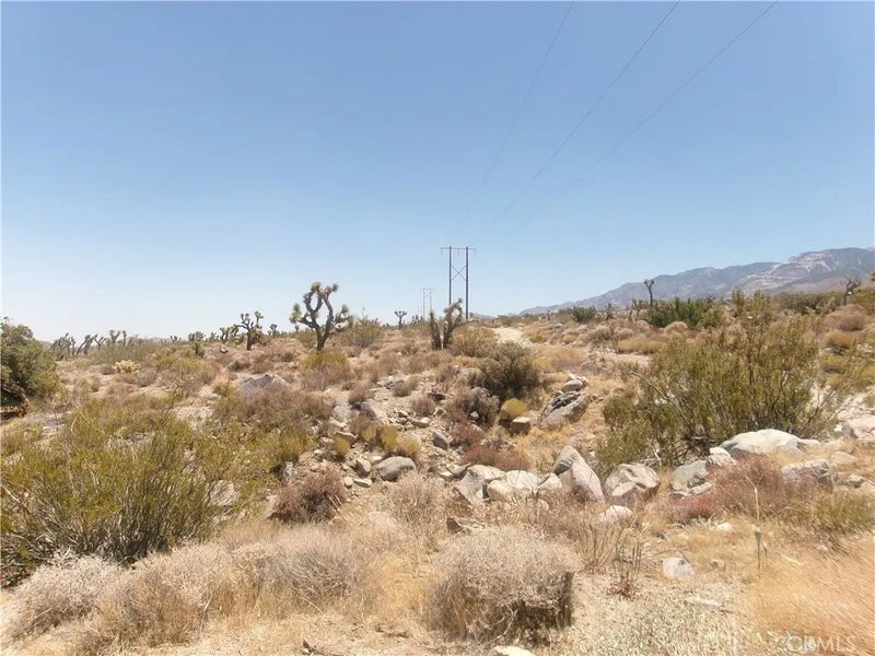 8020 MILLER RANCH