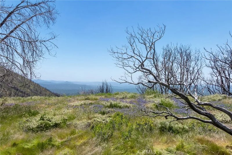 39 Acres Buckingham Mountain