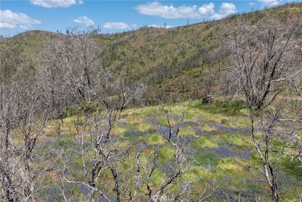 39 Acres Buckingham Mountain