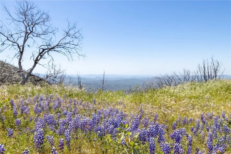 39 Acres Buckingham Mountain