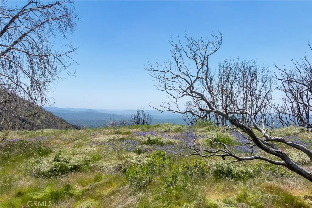 39 Acres Buckingham Mountain