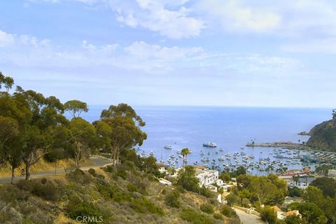 Tiny photo for 335 Clemente Avenue, Avalon, CA 90704 (MLS # SB25252804)