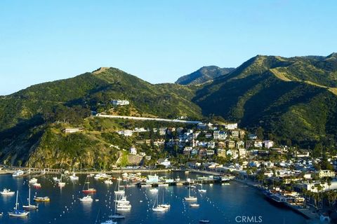 Tiny photo for 335 Clemente Avenue, Avalon, CA 90704 (MLS # SB25252804)