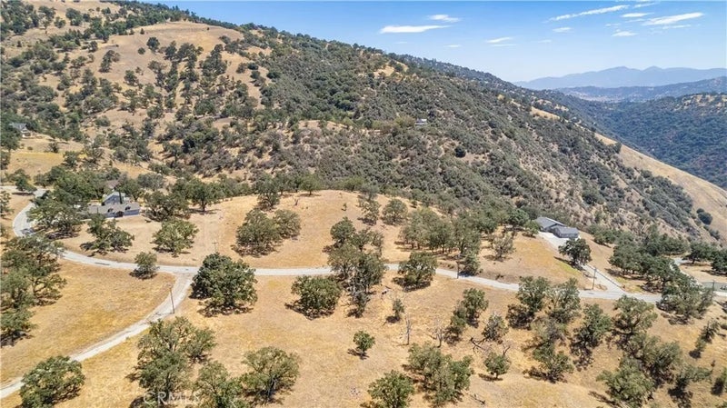 26201 Hazelwood