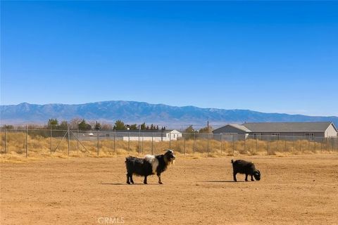 Tiny photo for 5830 Holiday Avenue, Rosamond, CA 93560 (MLS # SR25219874)