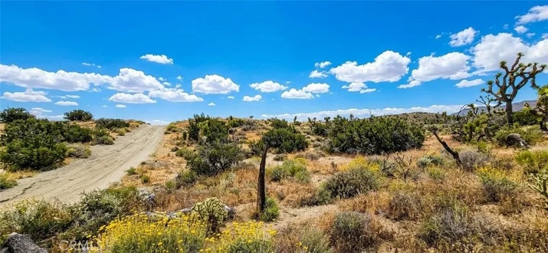 8900 Bainard Canyon