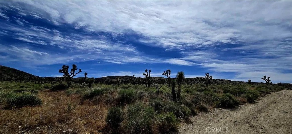 8900 Bainard Canyon
