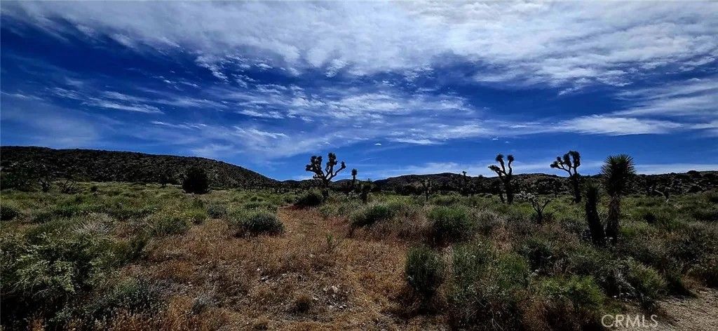 Photo of 8900 Bainard Canyon, Littlerock, CA 93550 (MLS # DW26084505)