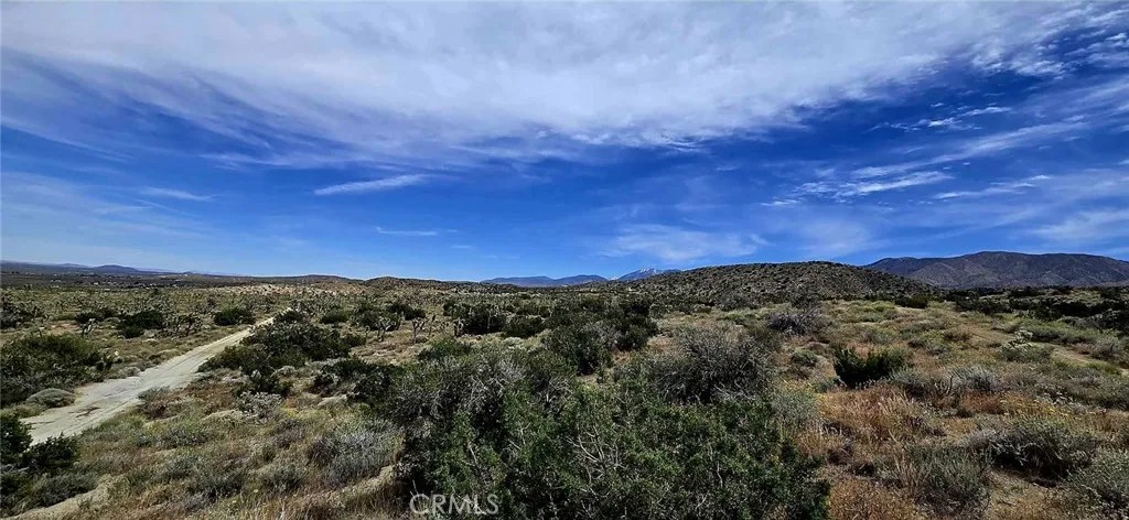 8900 Bainard Canyon