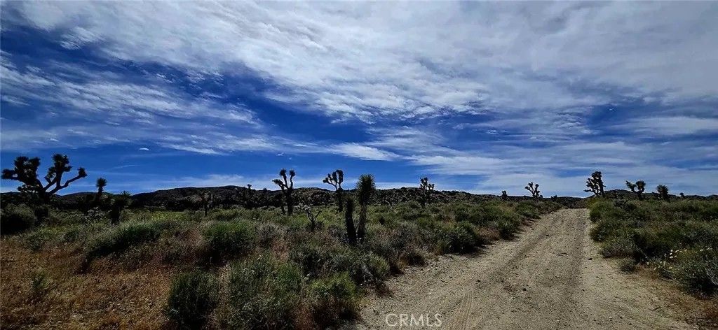 Photo of 8900 Bainard Canyon, Littlerock, CA 93550 (MLS # DW26084505)
