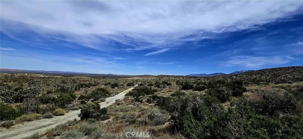 8900 Bainard Canyon