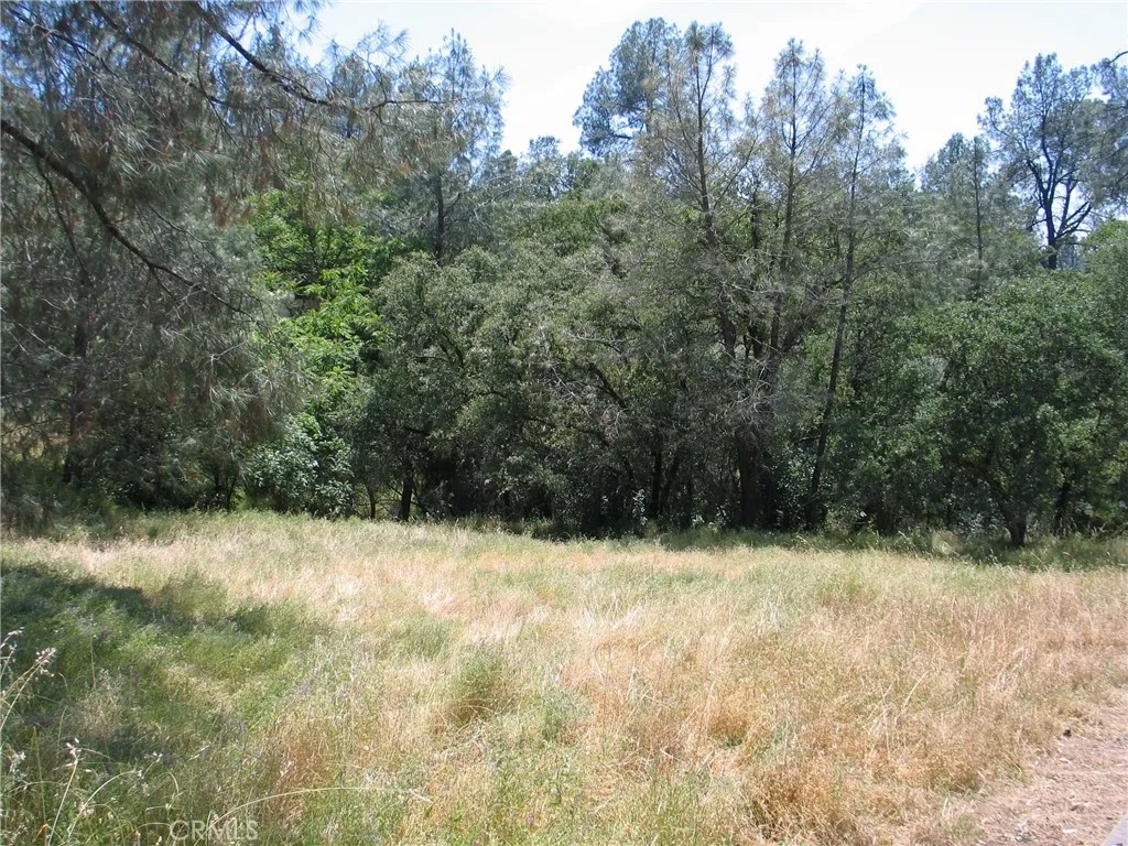 211 Lemon Hill