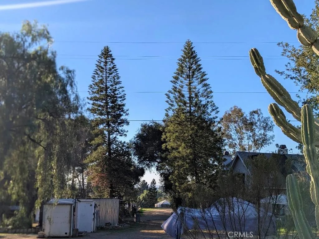 9734 Chocolate Summit