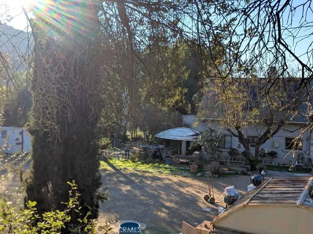 9734 Chocolate Summit