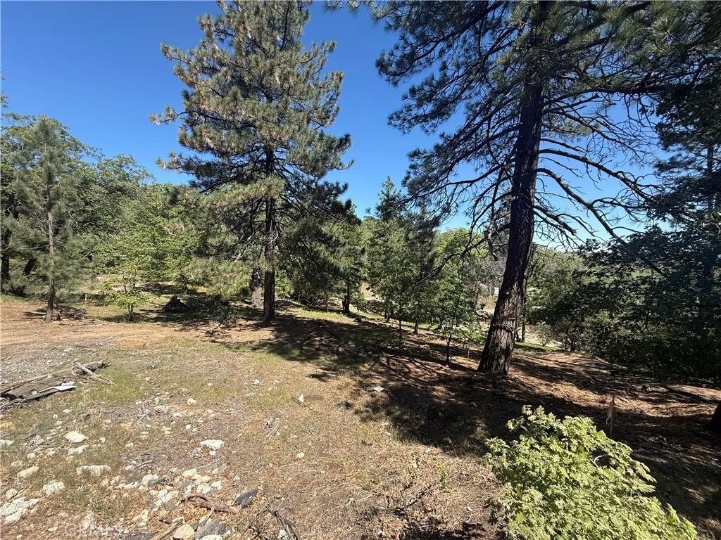 Photo of 1684 Pinehurst Dr, Lake Arrowhead, CA 92352 (MLS # PW26081683)