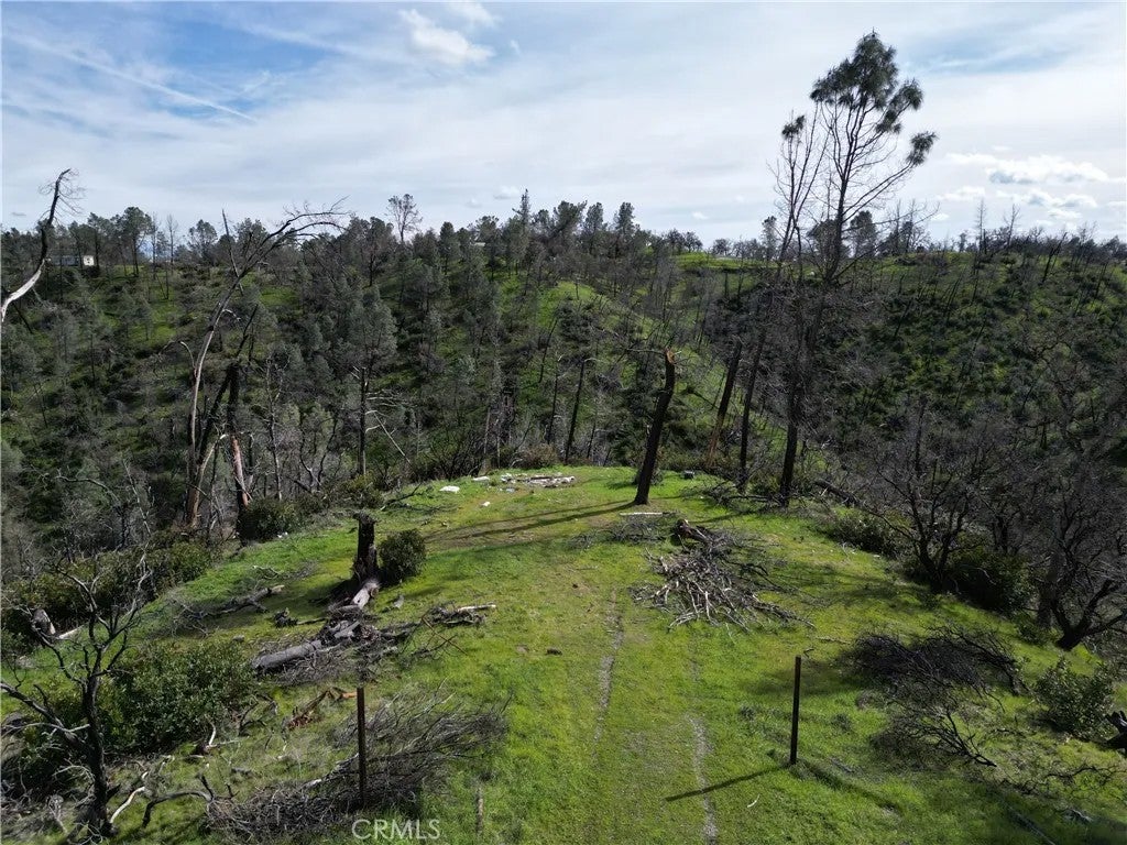 7074 Sugar Pine
