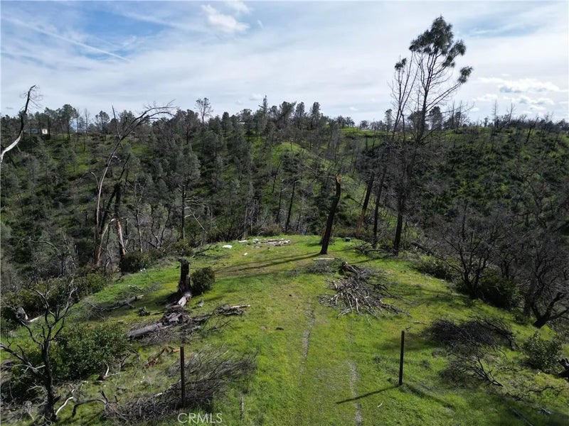 7074 Sugar Pine