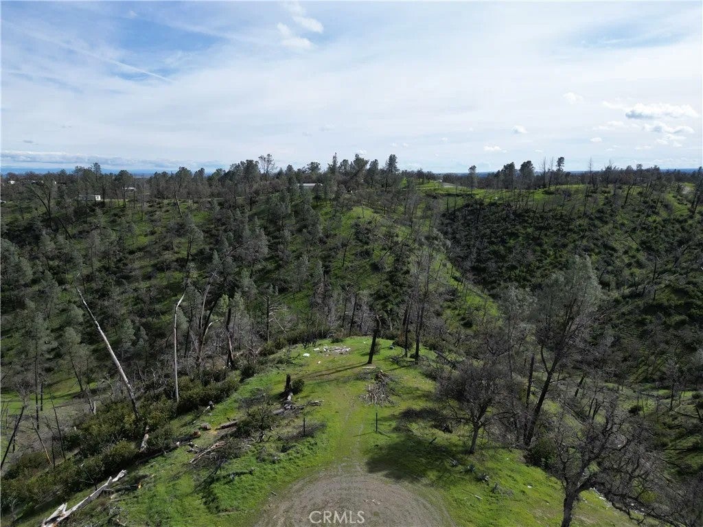 7074 Sugar Pine