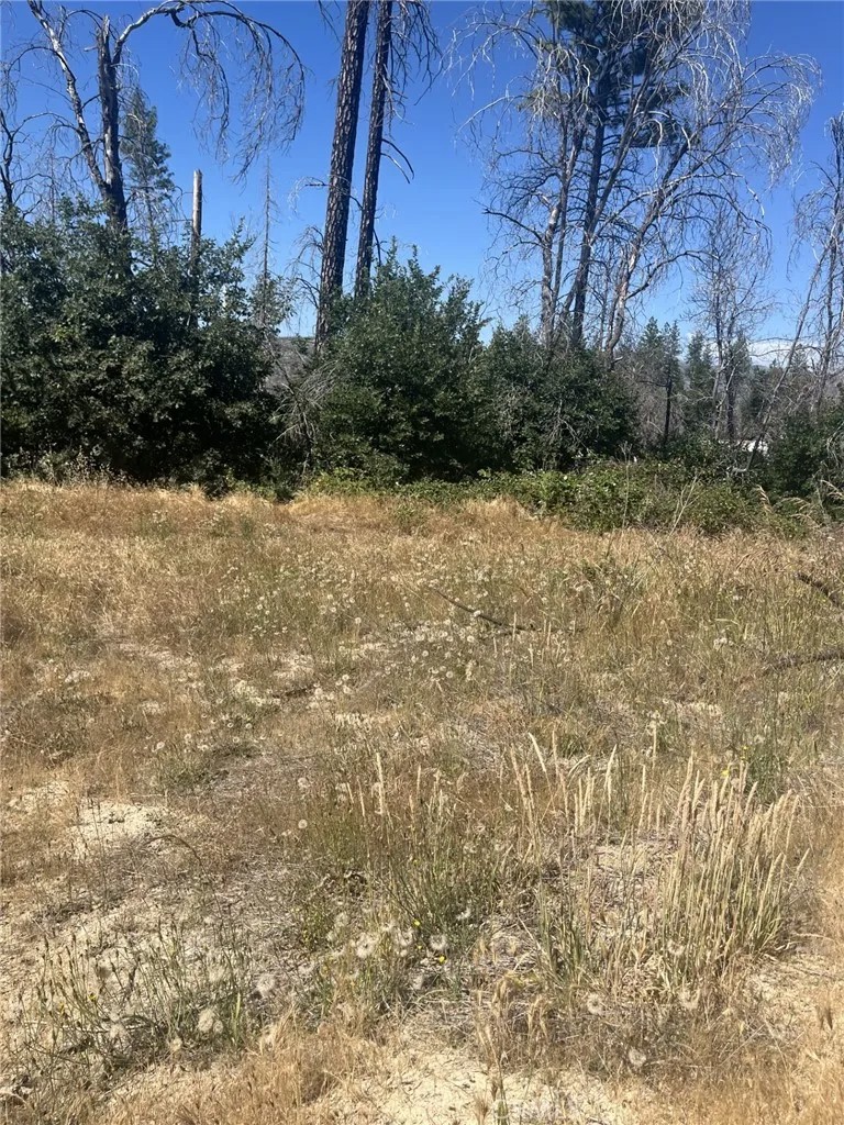 130 Simpson Ranch