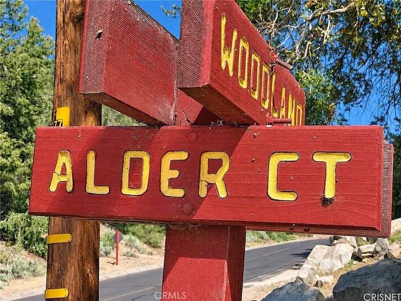2117 Alder