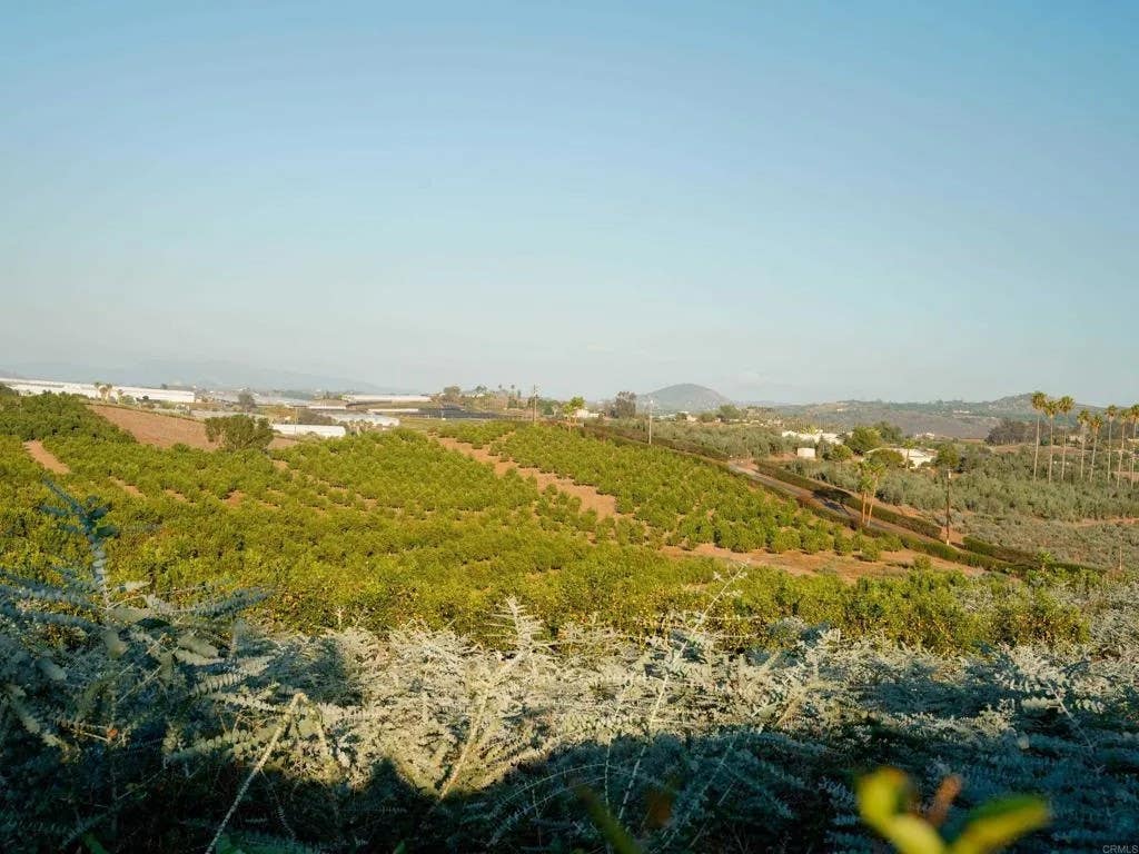 Photo of 31817 Via Ararat DR, Bonsall, CA 92003 (MLS # NDP2607250)
