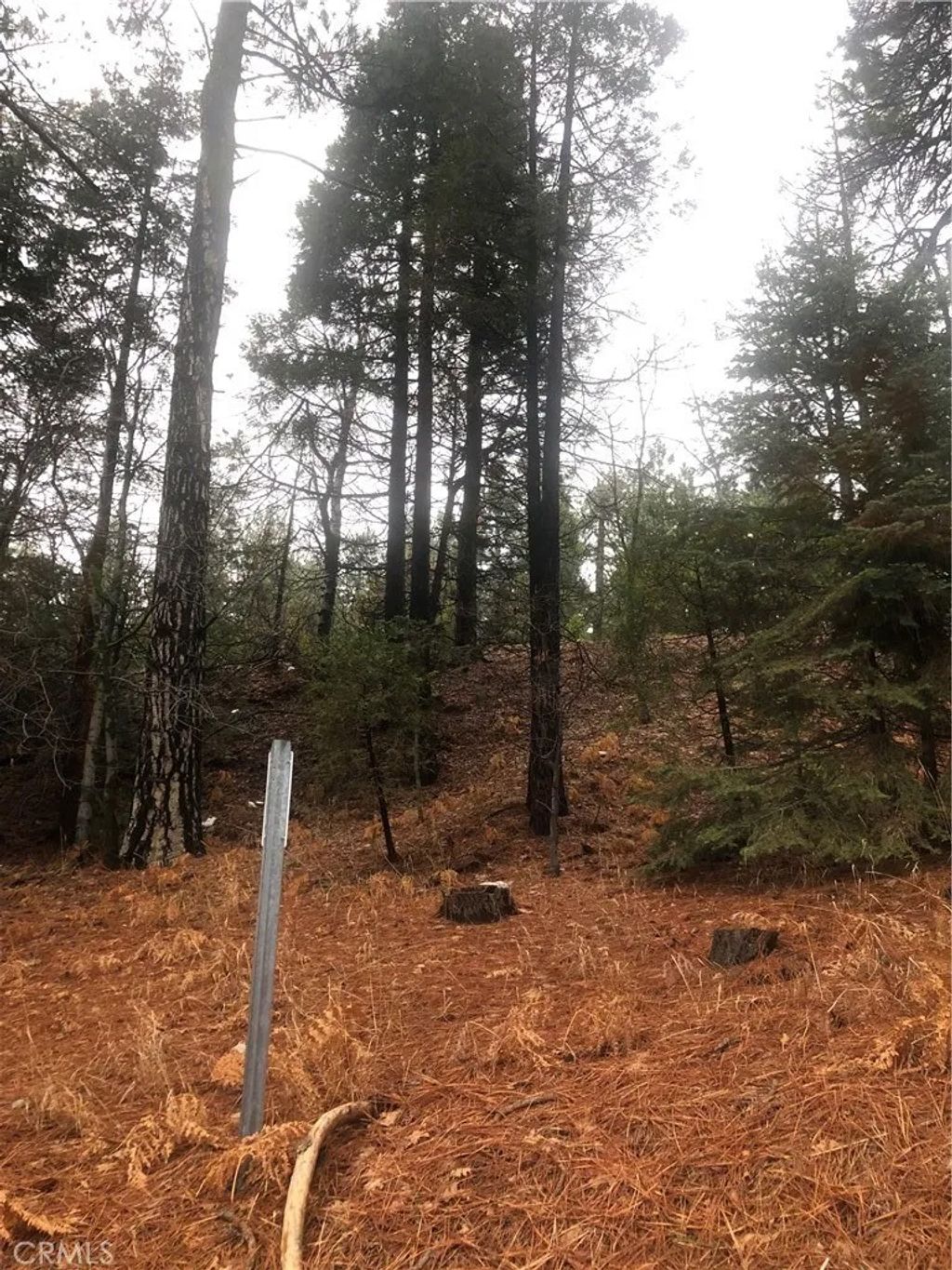 Photo of 0 Loma, Running Springs, CA 92382 (MLS # HD26003053)