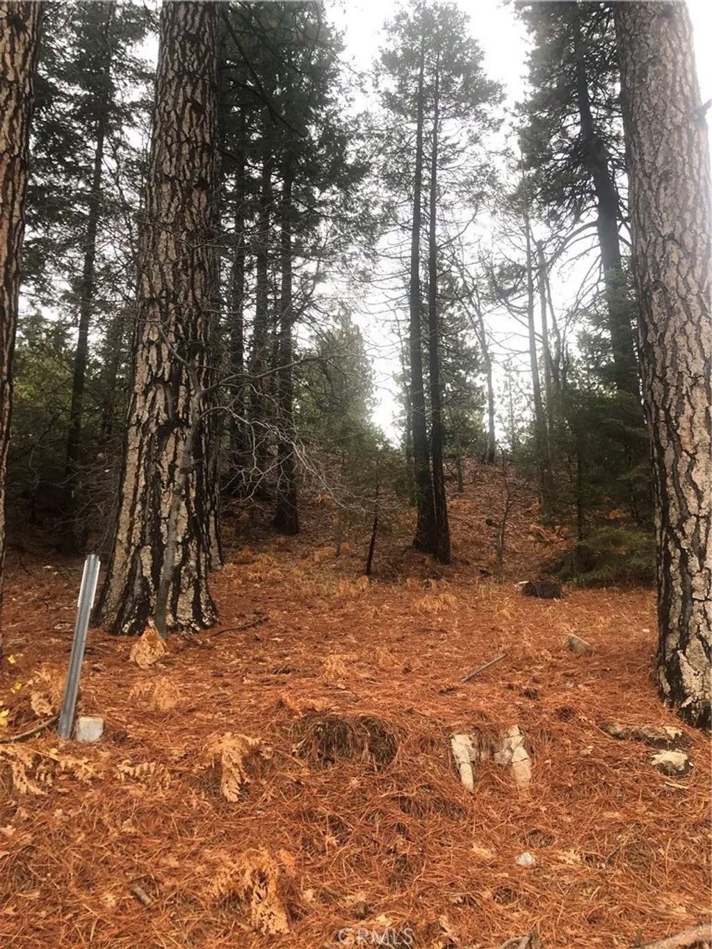 Photo of 0 Loma, Running Springs, CA 92382 (MLS # HD26003053)