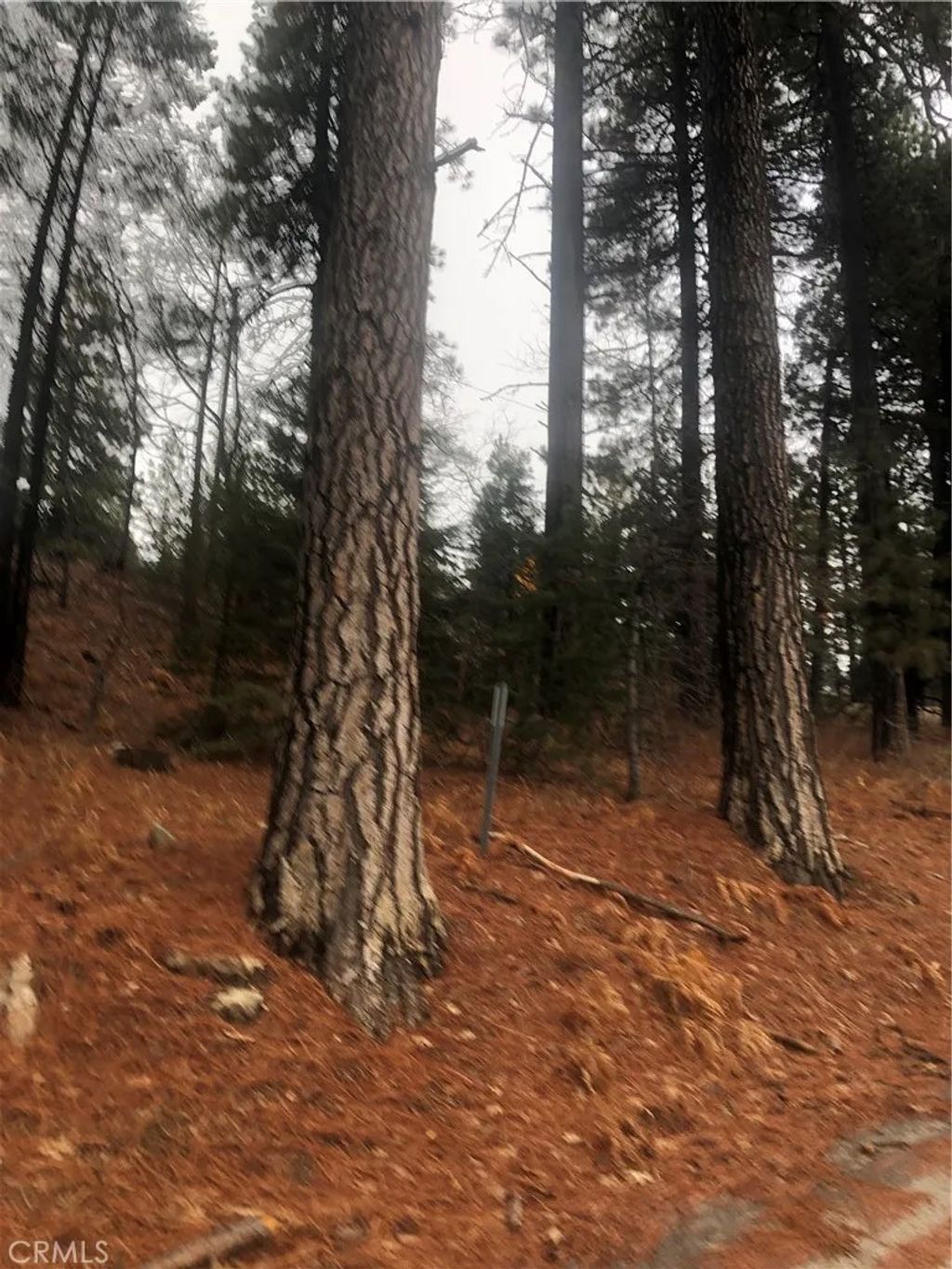 Photo of 0 Loma, Running Springs, CA 92382 (MLS # HD26003053)