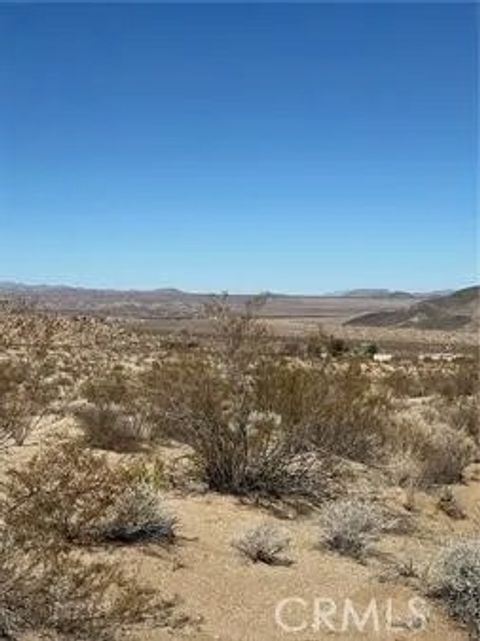 0 Jackass 29 Palms CA 92277