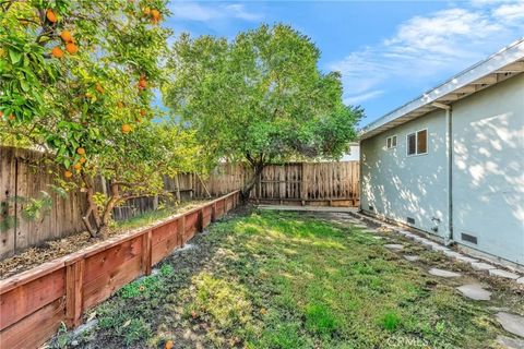 Tiny photo for 3160 Meadowbrook Drive, Concord, CA 94519 (MLS # FR25247338)