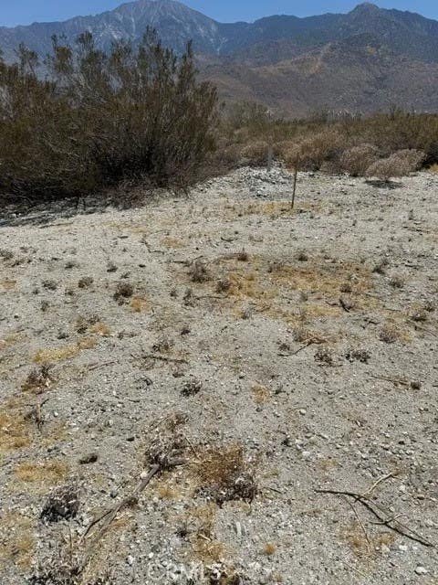 Photo of 0 Hyacinth Ln, Whitewater, CA 92282 (MLS # IG26168693)
