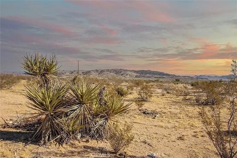 Tiny photo for 1856 Cambria Ave, Landers, CA 92285 (MLS # JT25245894)