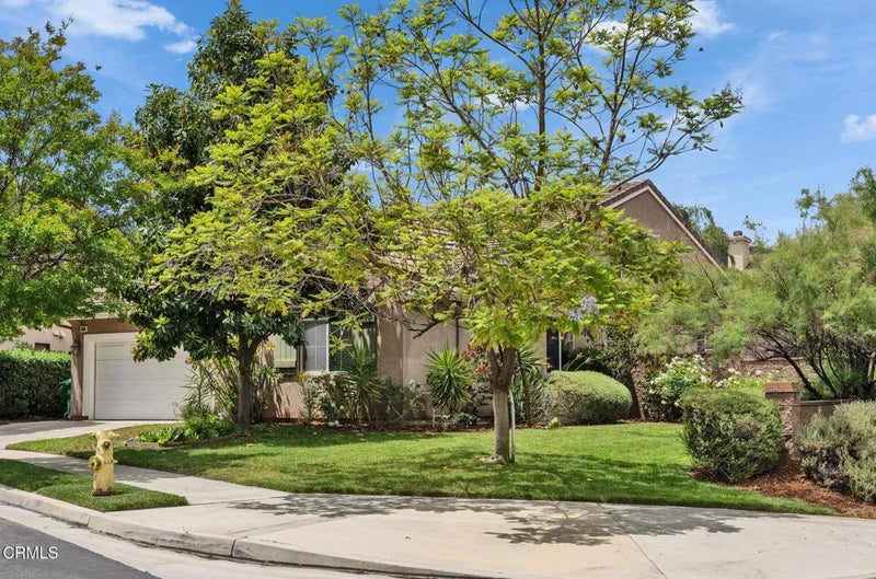 24889 Ashtree Court