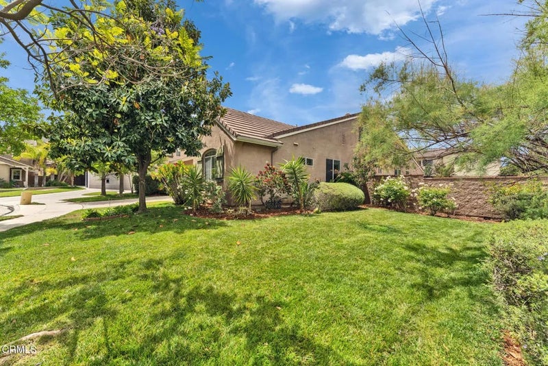 24889 Ashtree Court
