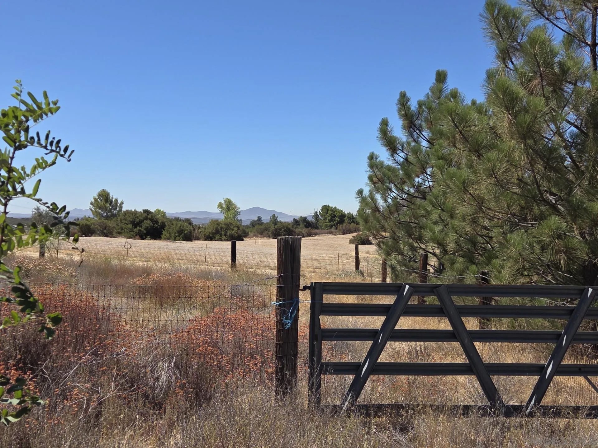 2125 Buckman Springs Road