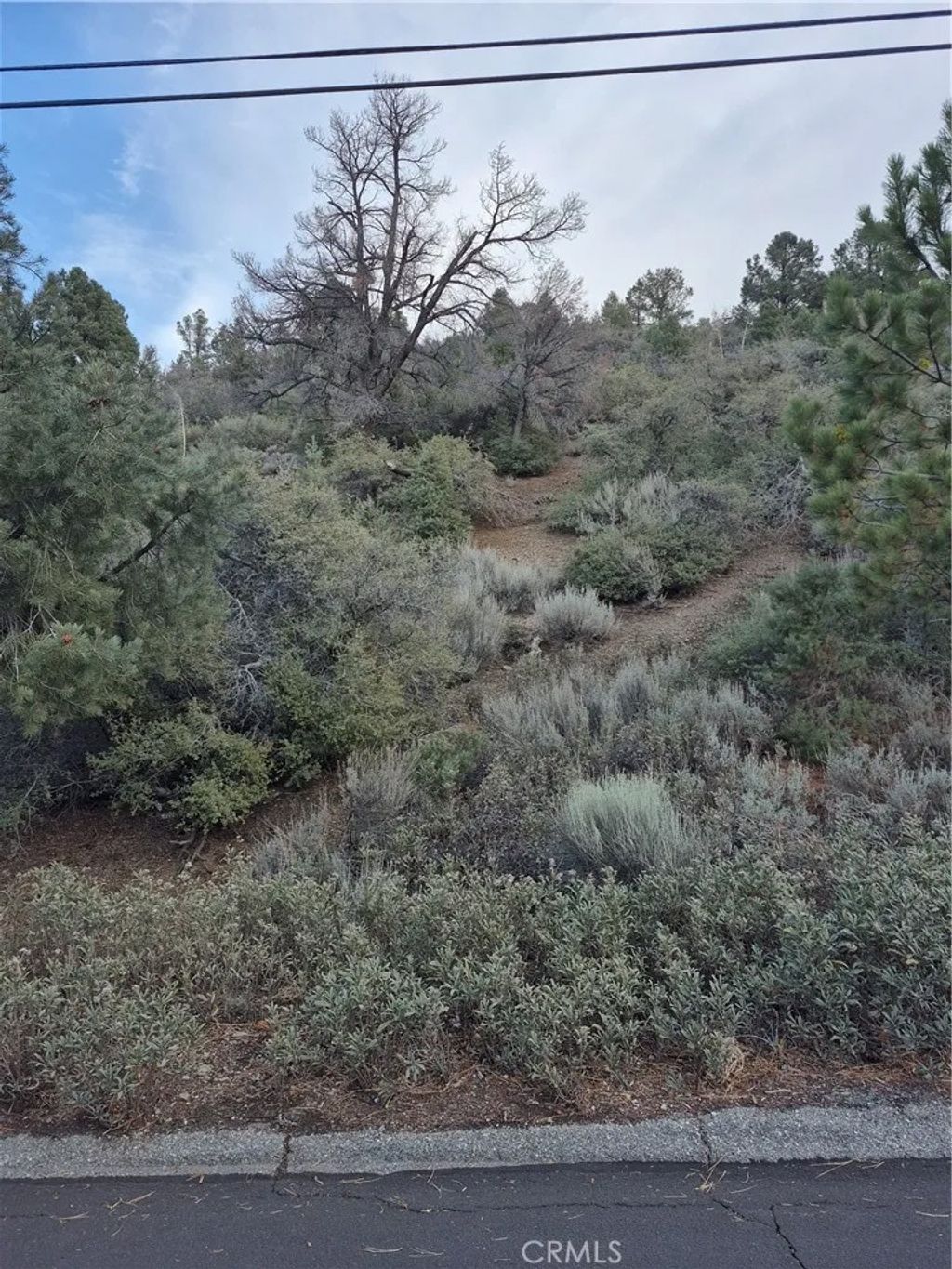 Photo of 2016 Woodland Drive, Pine Mountain Club, CA 93222 (MLS # SR26006461)